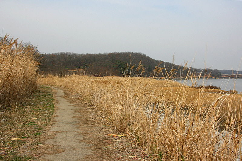 서두른다고 얼마나 멀리, 또 빨리 갈 것인가. 그냥 또박또박 걸어가면 될 일이다.