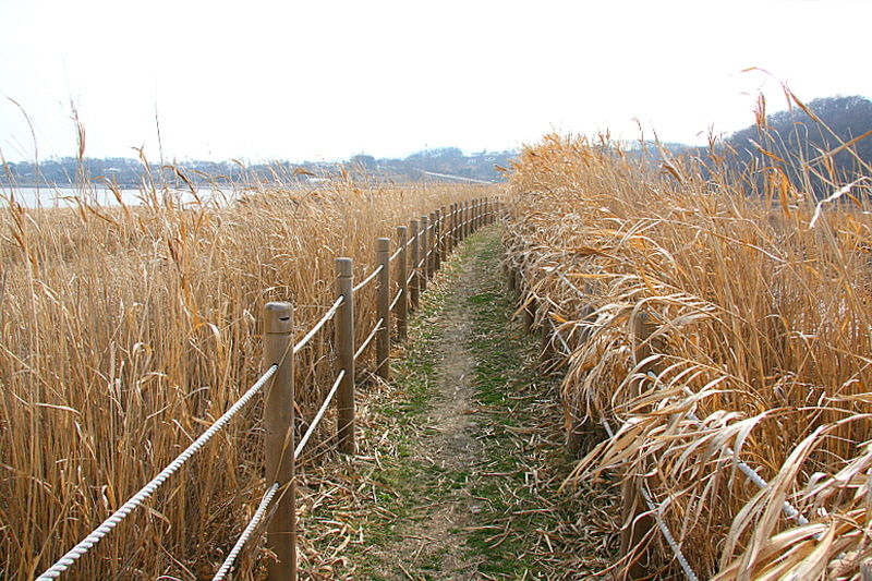 길 위에서 새삼스레 나라를 걱정한다. 역사는 돌고 도는 뫼비우스의 띠인지도 모른다.
