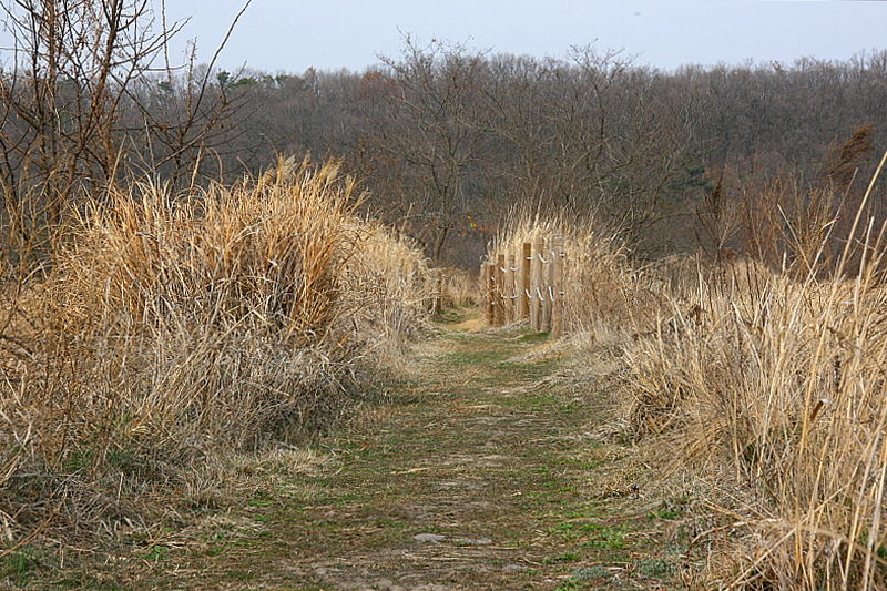 길은 또 어디론가 이어져 있을 것이다.