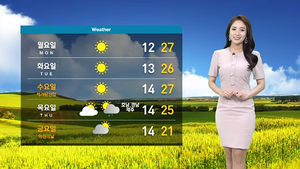 [날씨] 때 이른 '한여름 기온'&hellip;미세먼지 종일 '나쁨'