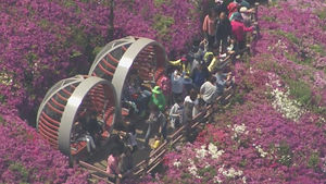 '최장 11일' 황금연휴 첫날&hellip;나들이객으로 전국 '북적'