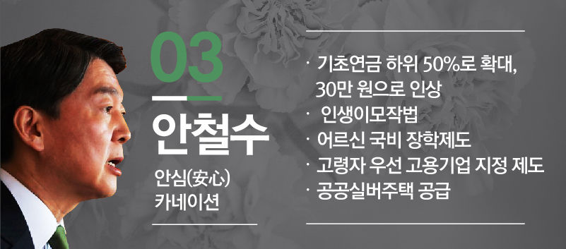 안철수 안심 카네이션