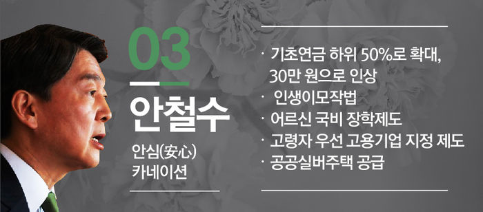 안철수 안심 카네이션