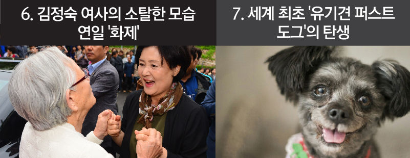 6. 김정숙 여사의 소탈한 모습 연일 '화제'
7. 세계 최초 '유기견 퍼스트도그'의 탄생