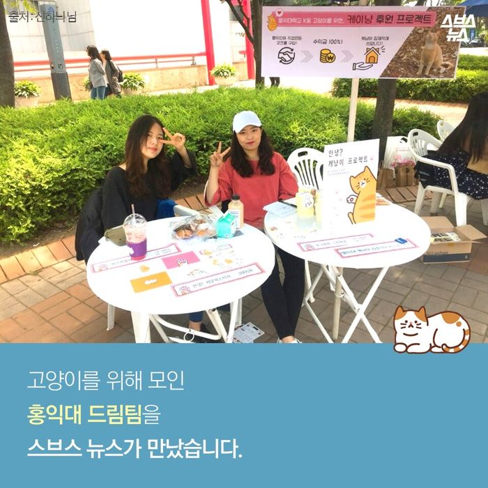 메인이미지  5 : 고양이를 위해 모인
홍익대 드림팀을
스브스?뉴스가 만났습니다.?