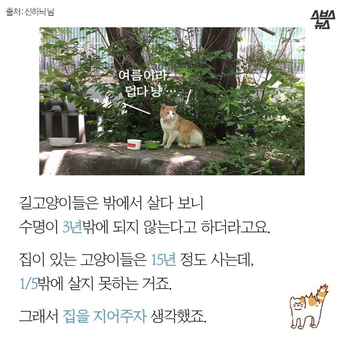 메인이미지  7 : 길고양이들은 밖에서 살다 보니
수명이?3년밖에?되지 않는다고?하더라고요.
?
집이 있는 고양이들은 15년 정도 사는데,
1/5밖에 살지 못하는?거죠.
그래서 집을 지어주자 생각했죠.?
