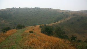 [라이프] 곶자왈에서 쉬고, 오름에서 억새와 춤을 추다 - 제주 쫄븐갑마장길 ①