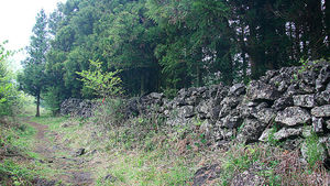 [라이프] 곶자왈에서 쉬고, 오름에서 억새와 춤을 추다 - 제주 쫄븐갑마장길 ②