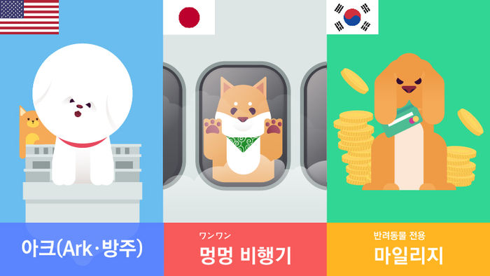 항공사의 반려동물 서비스가 늘고있다