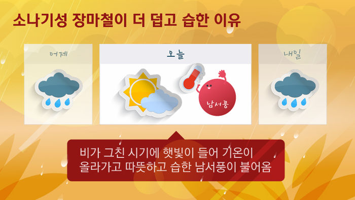 소나기성 장마철이 더 덥고 습한 이유