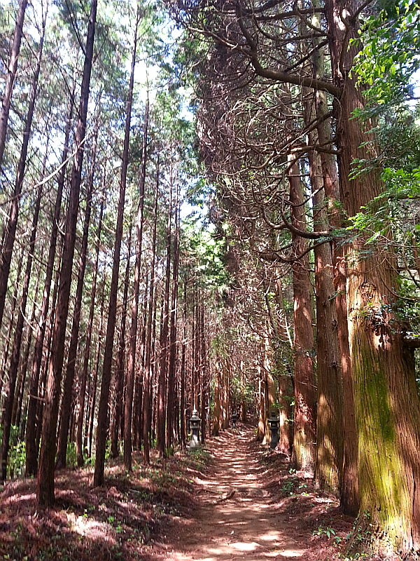규슈올레, 야메코스 9