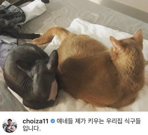 최자 인스타그램