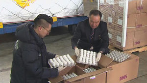 수입 달걀 2.8만 톤, 연말까지 무관세로 수입