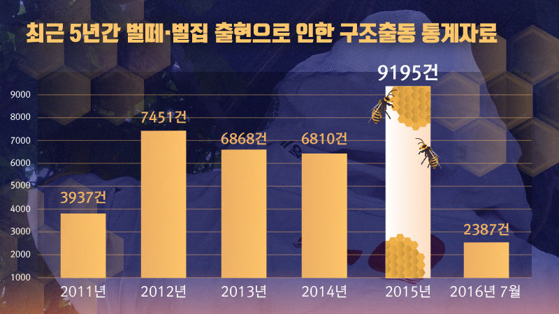 *그래픽
<최근 5년간 벌떼·벌집 출현으로 인한 구조출동 통계자료>
2011년 3,937건 / 2012년 7,451건 / 2013년 6,868건/ 2014년 6,810 / 2015년 9,195건 / 2016년 7월 2,387건