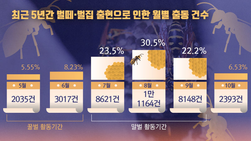 *그래픽
<최근 5년간 벌떼·벌집 출현으로 인한 월별 출동 건수>
5월 2,035건(5.55%) / 6월 3,017건(8.23%) 꿀벌 활동기간
7월 8,621건(23.5%) / 8월 1만 1,164건(30.5%) / 9월 8,148건(22.2%) 말벌 활동기간
10월 2,393건(6.53%)