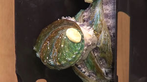 "대출 조장" 우려&hellip;카카오뱅크, 마이너스 통장 한도 축소