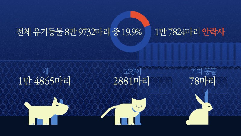 *그래픽
전체 유기동물 8만 9732마리 중 1만 7824마리 안락사(19.9%)
개 1만 4865마리
고양이 2881마리
기타 동물 78마리