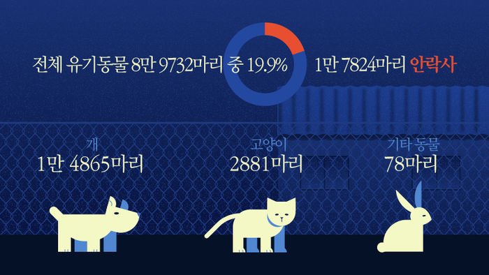 *그래픽
전체 유기동물 8만 9732마리 중 1만 7824마리 안락사(19.9%)
개 1만 4865마리
고양이 2881마리
기타 동물 78마리