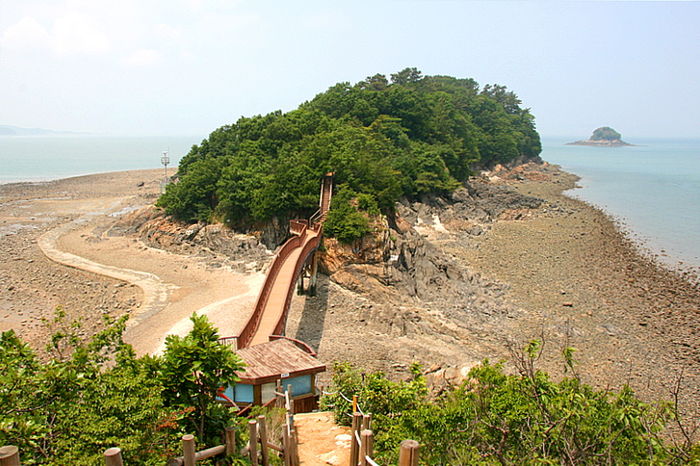 대부도 해솔길 25