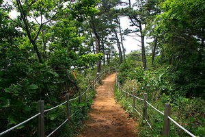 [라이프] 드론이 길을 만나다 - 대부도 해솔길을 걷다 ②