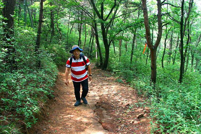 대부도 해솔길 37