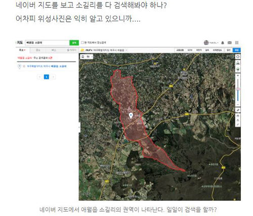 '위성 사진'으로 이효리 집 찾아간 남성 '뭇매'
