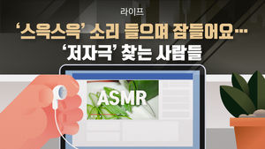 [라이프] '스윽스윽' 소리 들으며 잠들어요…'저자극' 찾는 사람들