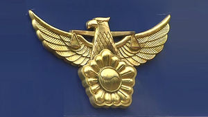 서울에 이런 곳이…무허가로 개 도축하고 14년간 폐수 방류