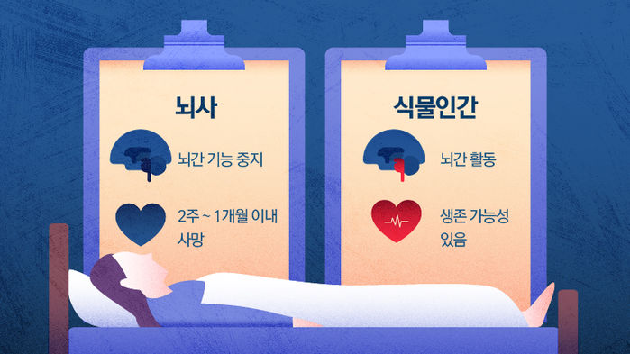 뇌사와 식물인간 차이