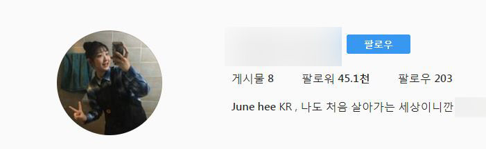 故 최진실 딸 최준희 SNS 중단 선언