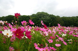 [라이프] ‘선비’를 다시 생각하다 - 함양 선비문화 탐방로 ①