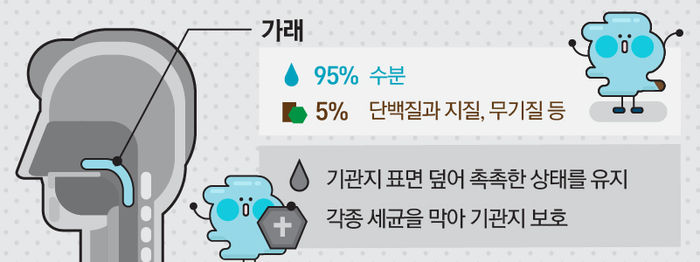 가래의 역할
