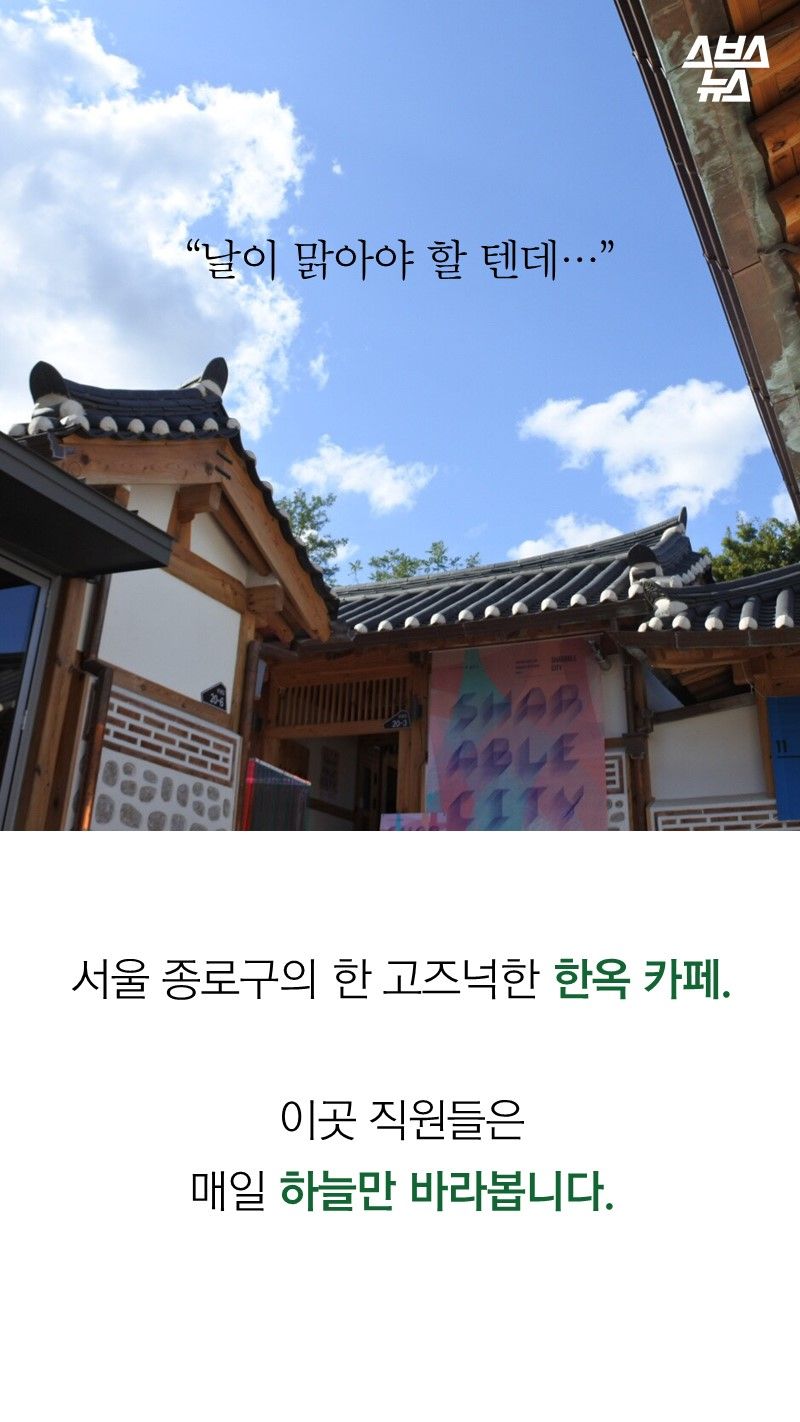 서울 종로구의 한 고즈넉한 한옥 카페.
이곳 직원들은
매일 하늘만 바라봅니다.