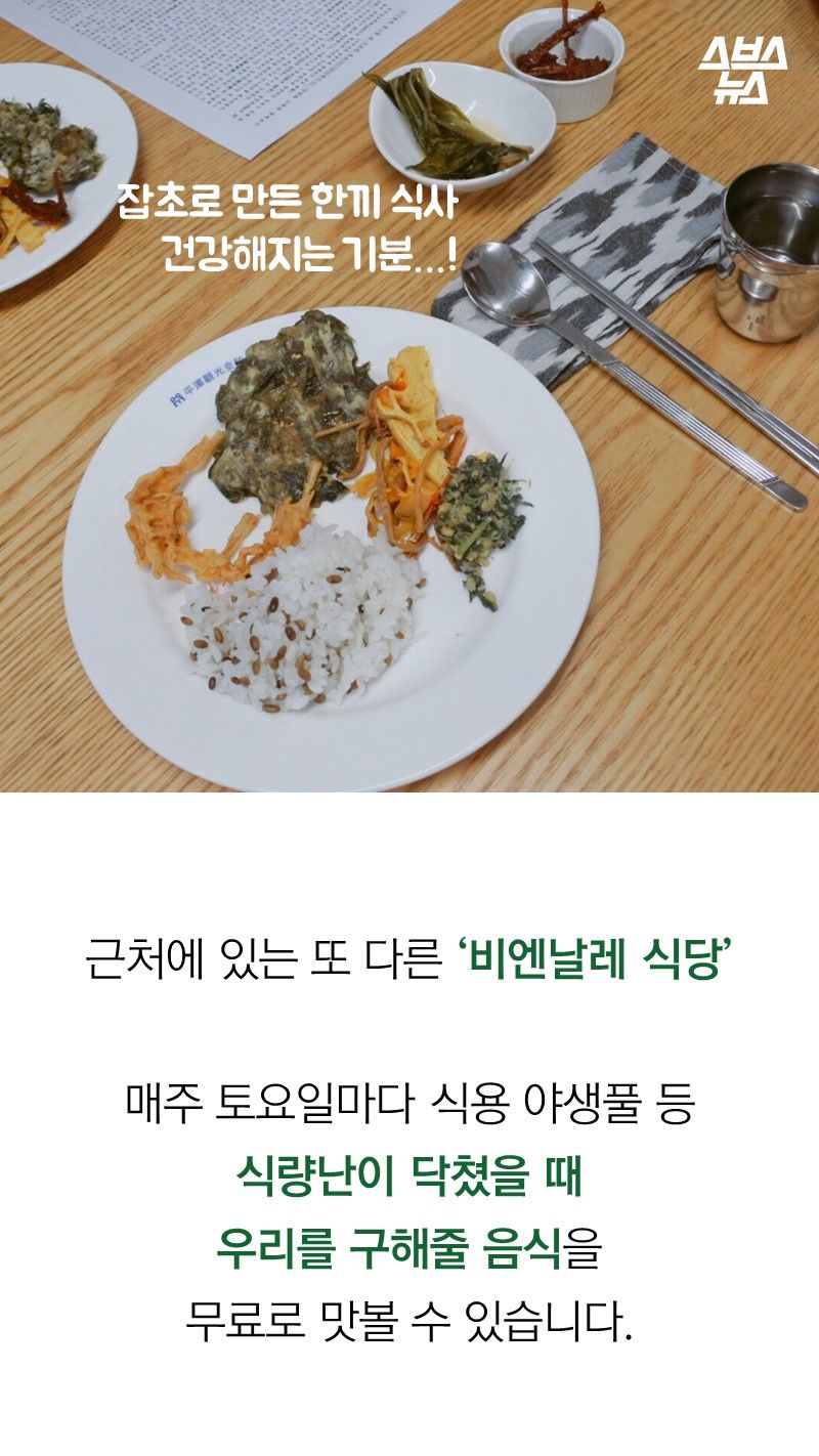 근처에 있는 또 다른 ‘비엔날레 식당’
매주 토요일마다 식용 야생풀 등 식량난이 닥쳤을 때
우리를 구해줄 음식을
무료로 맛볼 수 있습니다.