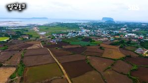 [영상토크] 하늘에서 본 제주올레