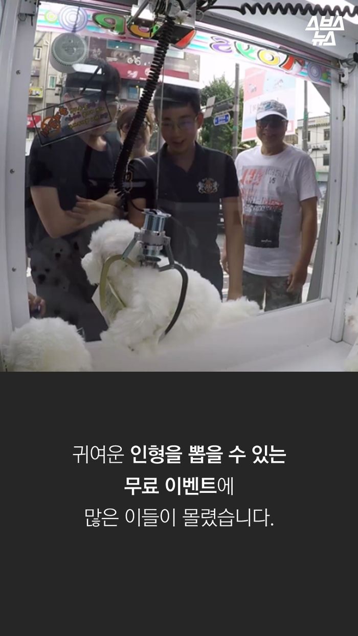 귀여운 인형을 뽑을 수 있는 무료 이벤트에 많은 이들이 몰렸습니다.
