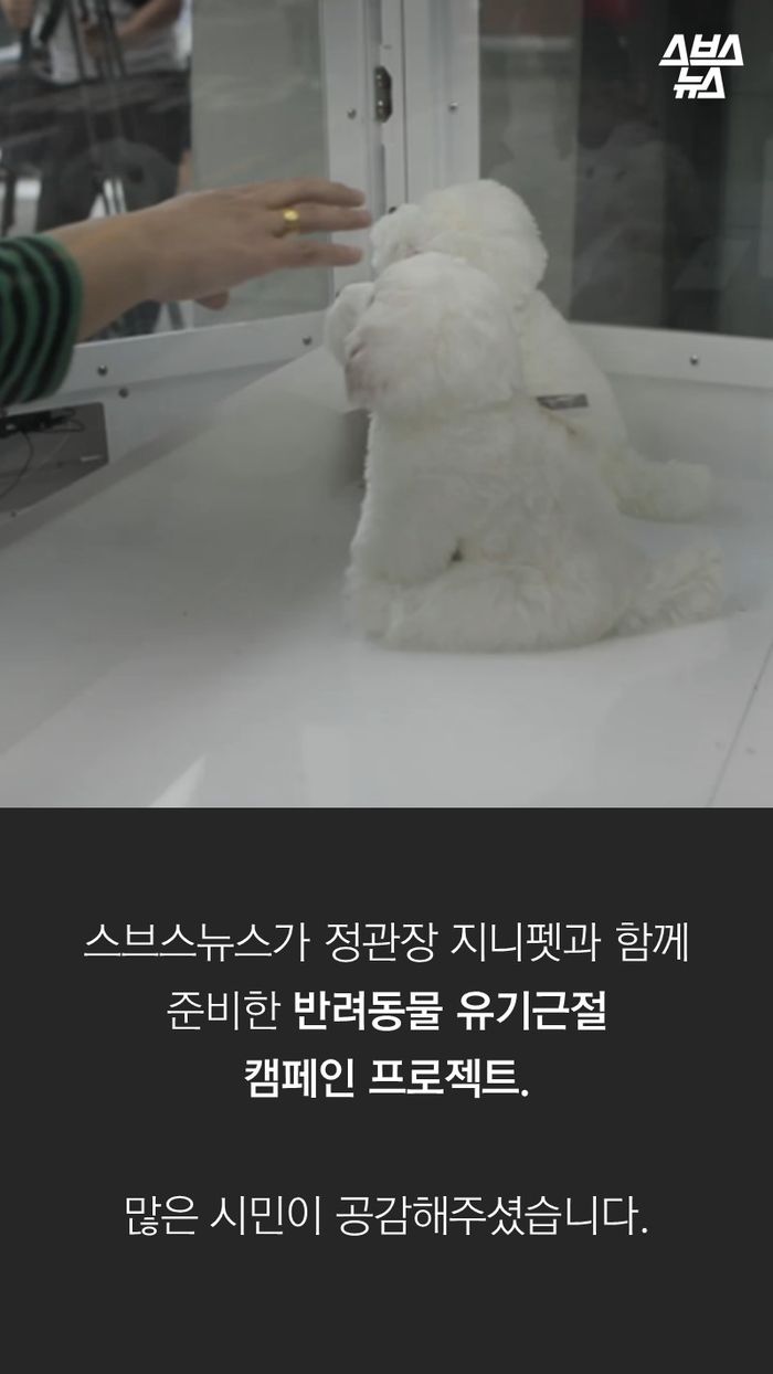 스브스뉴스가 정관장 지니펫과 함께
준비한 반려동물 유기근절
캠페인 프로젝트.
많은 시민이 공감해주셨습니다.