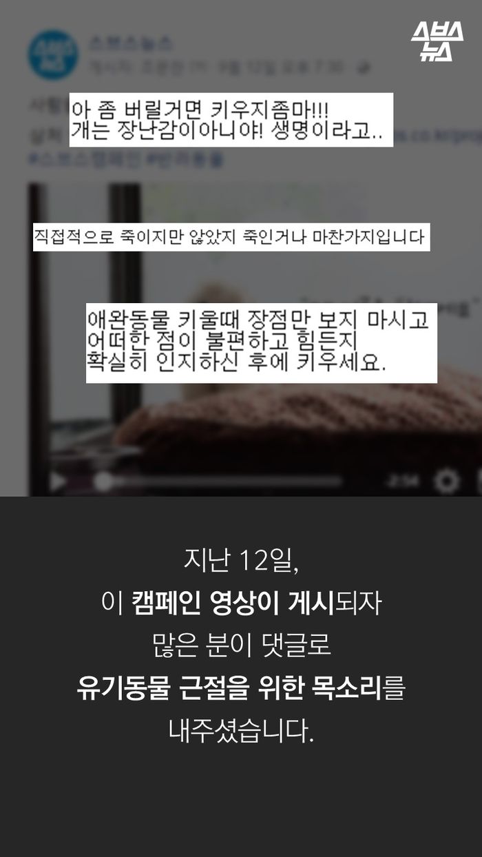지난 12일,
이 캠페인 영상이 게시되자
많은 분이 댓글로
유기동물 근절을 위한 목소리를 내주셨습니다.