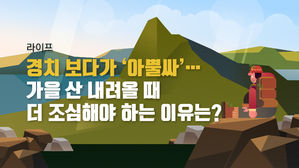 [라이프] 경치 보다 '아뿔싸'…가을 산 내려올 때 더 조심해야 하는 이유는?