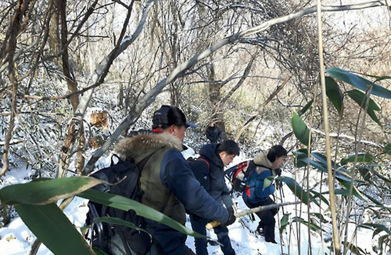 진안 운장산서 백골 시신 발견…지난 겨울 실종 여성 추정