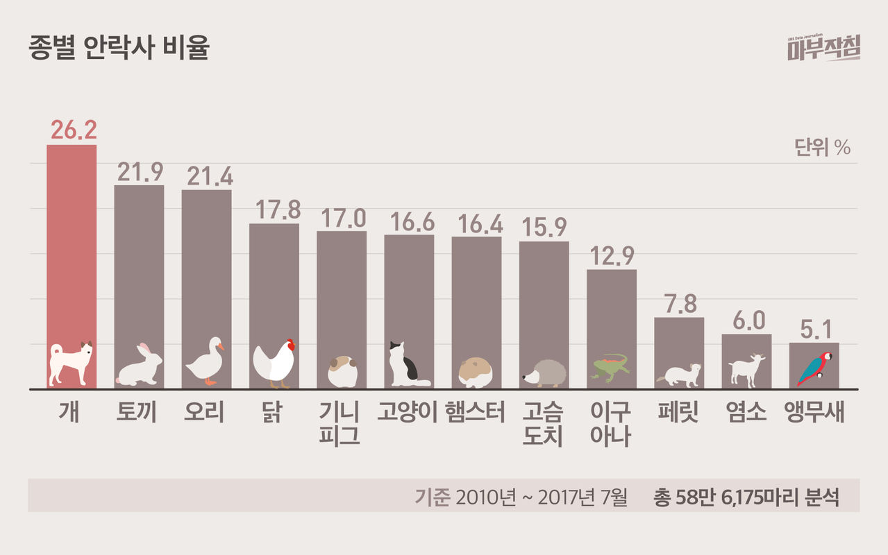 [마부작침] 유기동물 그래프_종별 안락사 비율