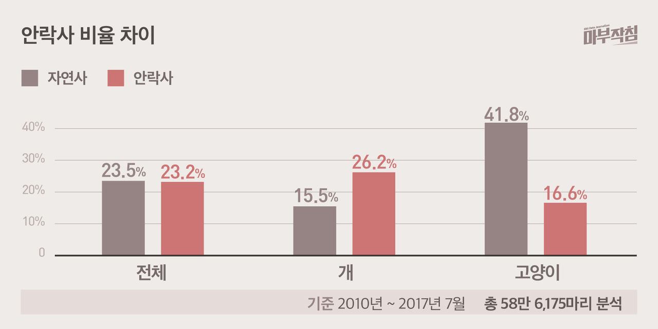 [마부작침] 유기동물 그래프_안락사 비율 차이
