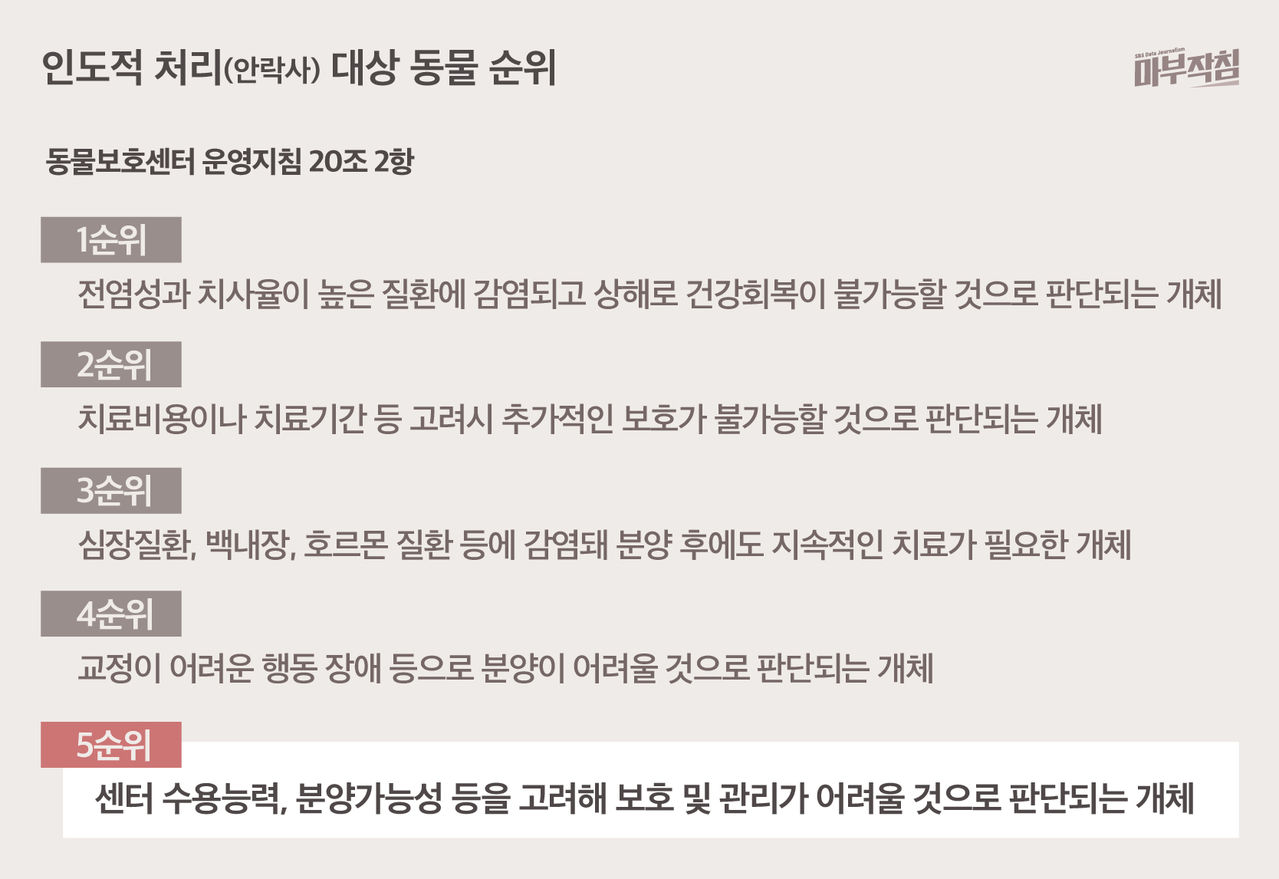 [마부작침] 유기동물 그래프_인도적 처리 대상 동물 순위