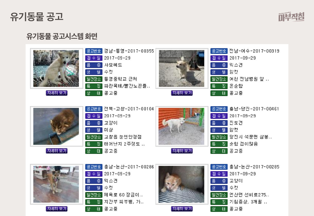 [마부작침] 유기동물 그래프_유기동물 공고