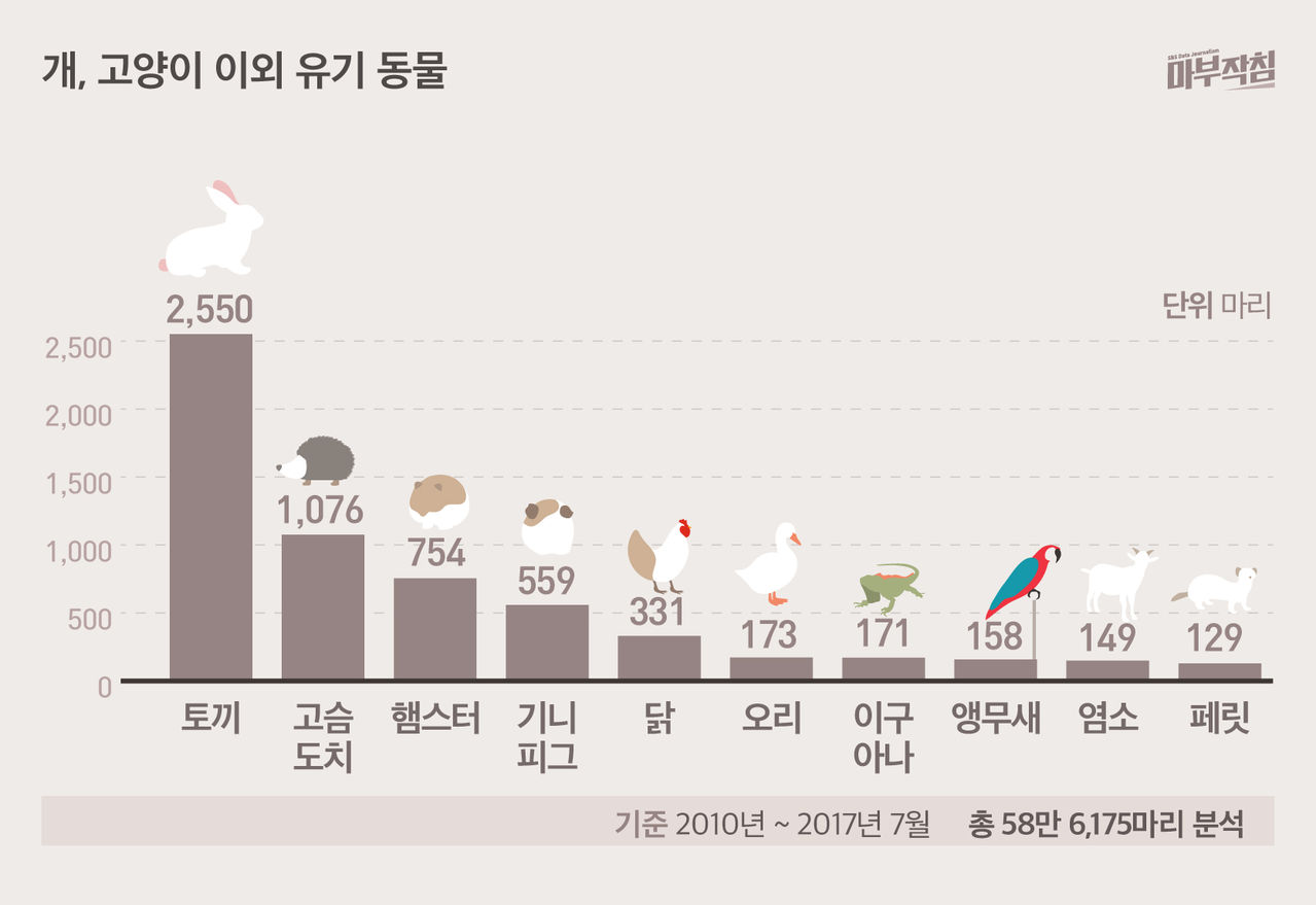 [마부작침] 유기동물 그래프_개 고양이 이외 유기동물