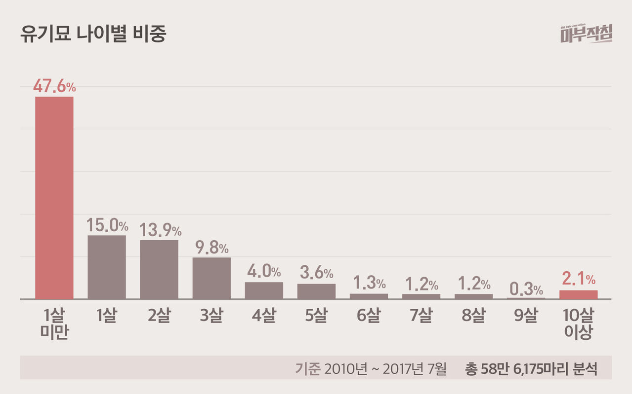 [마부작침] 유기묘 나이별 비중
