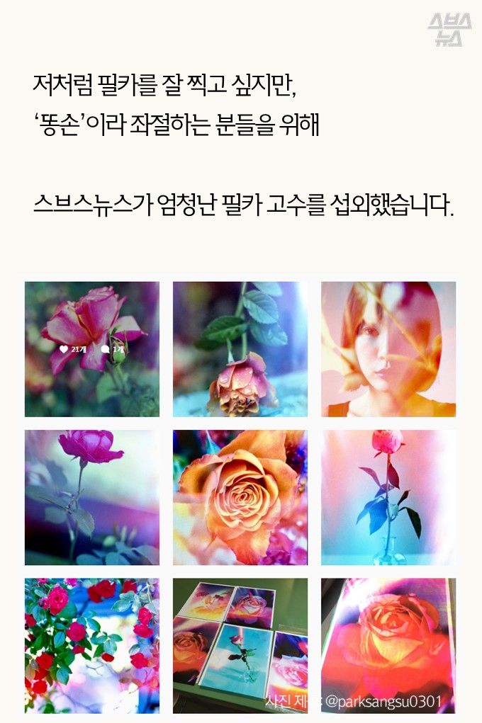 저처럼 필카를 잘 찍고 싶지만 '똥손'이라 좌절하는 분들을 위해
스브스뉴스가 엄청난 필카 고수를 섭외했습니다.