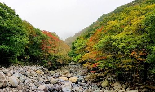 한라산 단풍 시작…이달 하순께 절정 이룰 듯