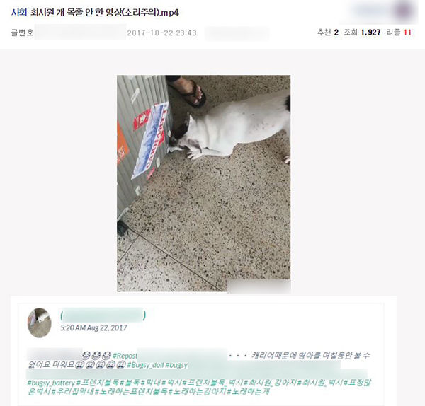 '최시원 반려견' 영상 보니…여행용 가방 물고 '으르렁'