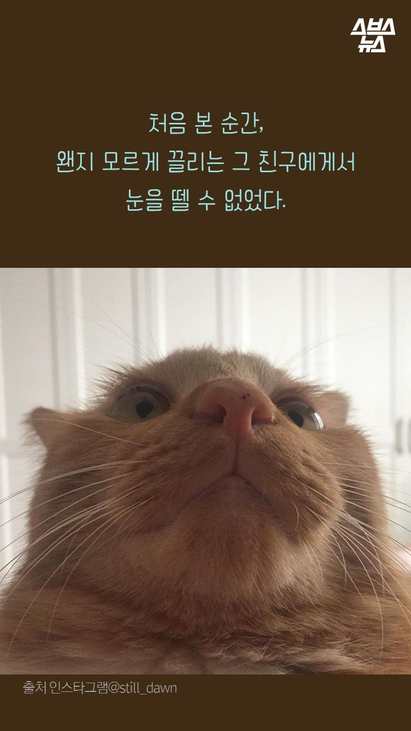 처음 본 순간,
     왠지 모르게 끌리는 그 친구에게서
     눈을 뗄 수 없었다.